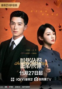 Теневой детектив